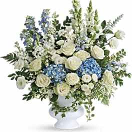 White roses and blue hydrangeas in a white pedestal vase