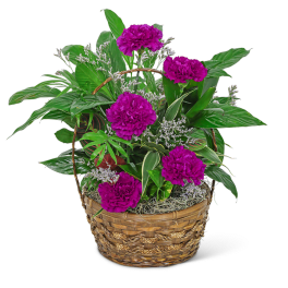 Dish Garden with Purple Florals