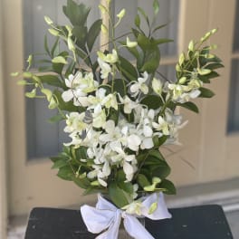 White orchid arrangement in a glass vase with a white ribbon