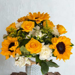 blooming yellow and white