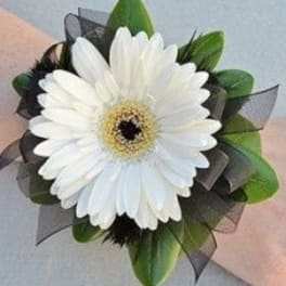 White gerbera daisy boutonniere with green leaves and black ribbon