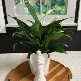 Potted peace lily in a white angel-shaped planter