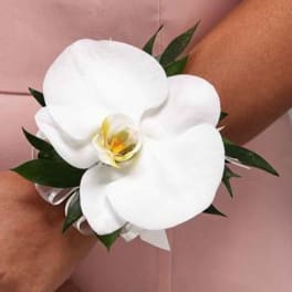 White orchid corsage on a wrist with dark green leaves
