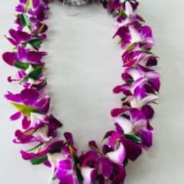 Purple orchid lei on a light background
