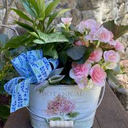 Pink flowers in a decorative metal bucket with a blue ribbon