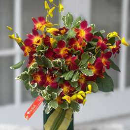 Fire orchids Tropics Arrangemnet Cube Vase Available Now