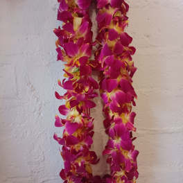 Two magenta orchid leis hanging against a wall