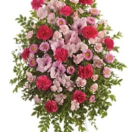Pink Tribute Spray