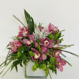 Pink orchid arrangement in a clear square vase with green foliage