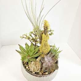Succulent arrangement in a ribbed silver bowl with tall grass-like stems