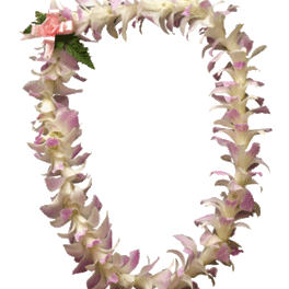 Flower lei with pale pink and cream blossoms