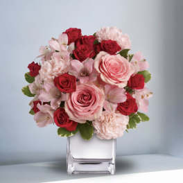 Pretty in Pink Roses