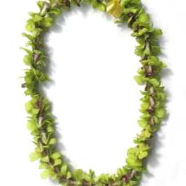 Green floral lei with small yellow accents on a white background