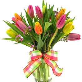 Assorted Tulips in a vase