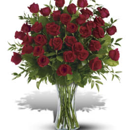 3 Dozen Roses