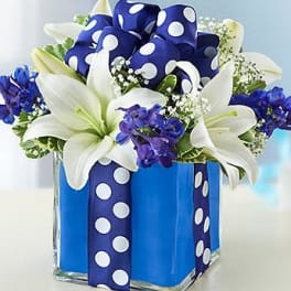 All Wrapped Up - Blue