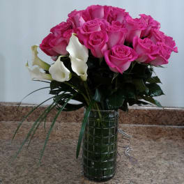 Pink roses
