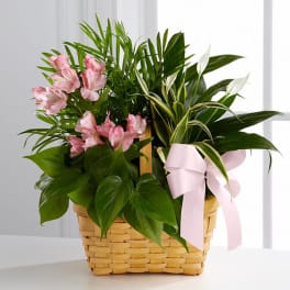 Pink flowers in a woven basket with a pink ribbon