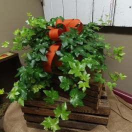 Potted ivy plant with a large orange ribbon in a wooden crate