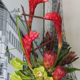 Tall modern arrangement of red tropical flowers, pink protea, and green orchids in a low black container