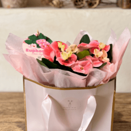 BP121 - Euphoria Planter