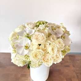 Cream roses and white orchids arranged in a white vase