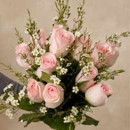 BP64 - Pink Rose Short Stem Bouquet