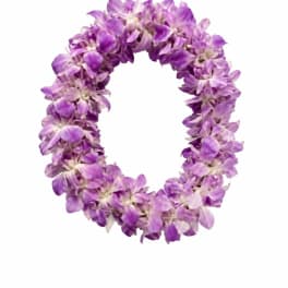 Double Laveder Lei