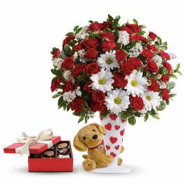Send a Hug I Ruff You Gift Set PM