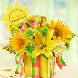 All Wrapped Up - Yellow