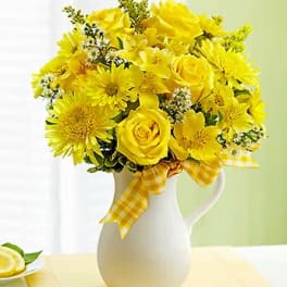 Pitcher of Sunshine
