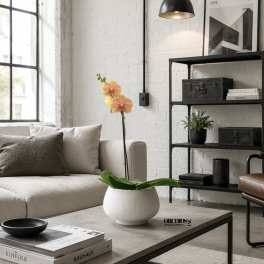 Prestigious Orchid Miami