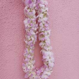 Two pale pink orchid leis hanging against a pink wall