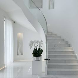 White orchid plant in a silver pot on a pedestal in a modern stairwell