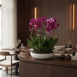 Pink orchids in a white bowl planter on a wooden table