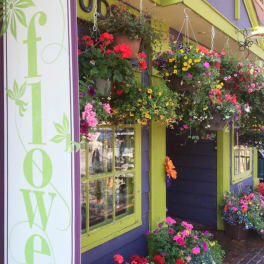 Flower shop storefront with hanging baskets and potted blooms
