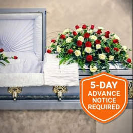 Watanabe Treasured Reflections (Closed Casket, Medium)