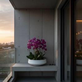 Potted purple orchids in a white bowl planter on a balcony
