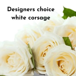 Close-up of cream white roses used for a designer's choice white corsage on a white background.