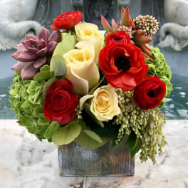 Bouquet of red and cream roses with succulents in a wooden box