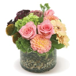 Roses, Dahlia, Gerber Daisy, and Hydrangea