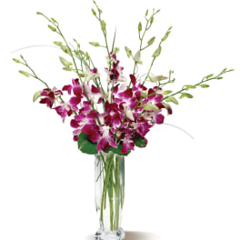 Purple Orchid Bouquet