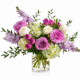 Blush & Bloom