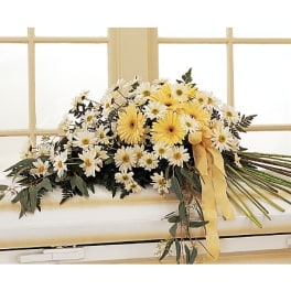 Yellow and white daisy bouquet with a yellow ribbon