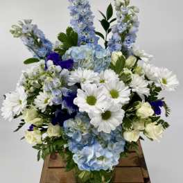 Sky Blue (DB)