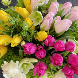 Bouquet of pink, yellow, and white tulips with pale green hellebores