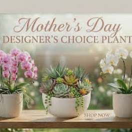 Mothers Garden
