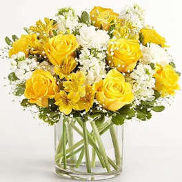 Sunny Elegance Modern Arrangement