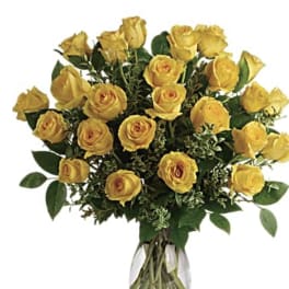 Sun yellows