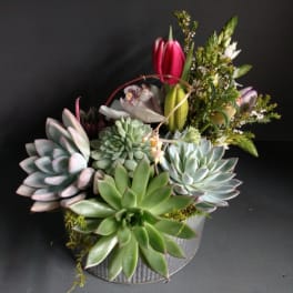 Saint Raywood by The Enchanted Florist